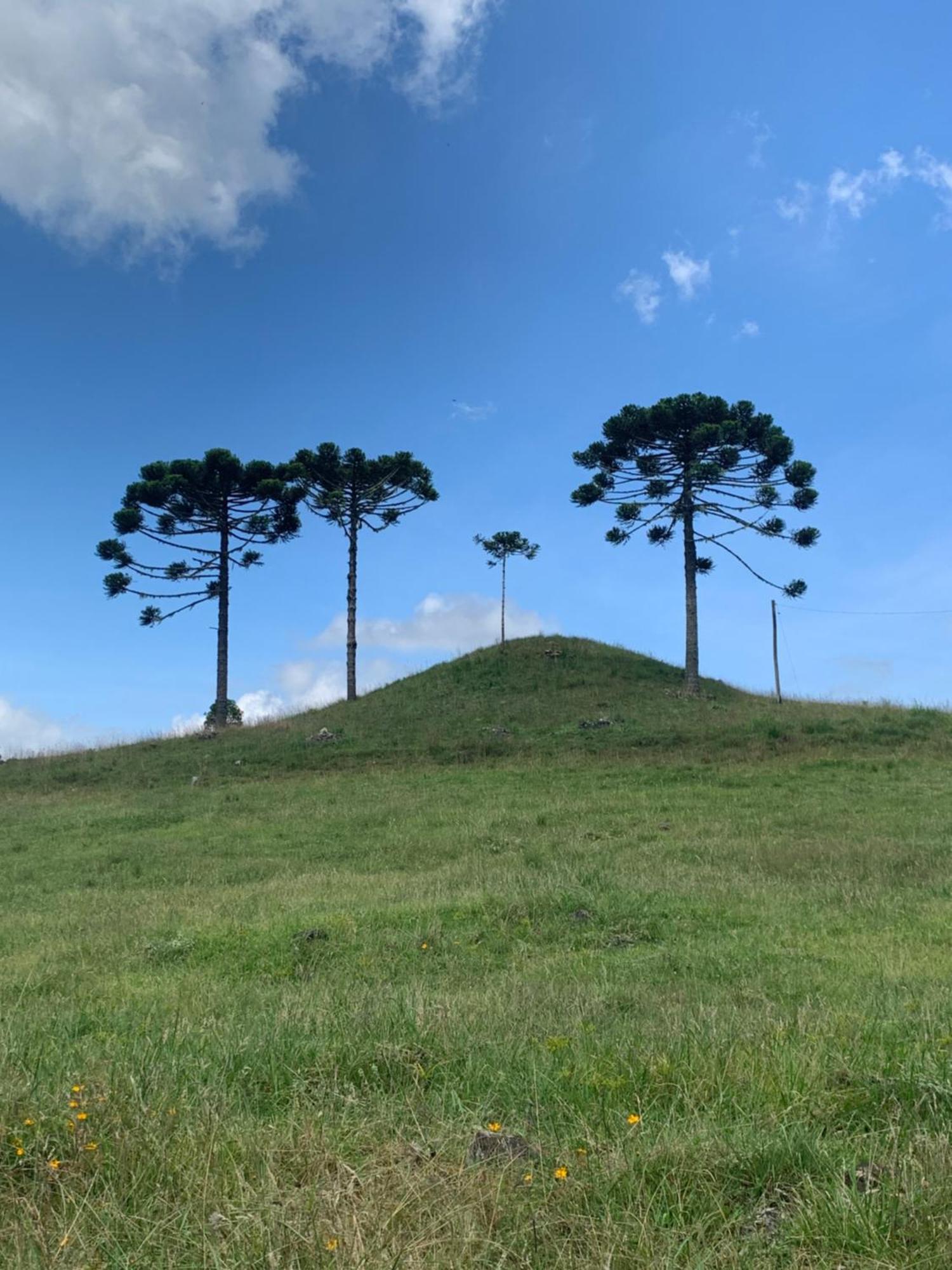 Pousada Fazenda Paim Sao Jose dos Ausentes Exteriér fotografie