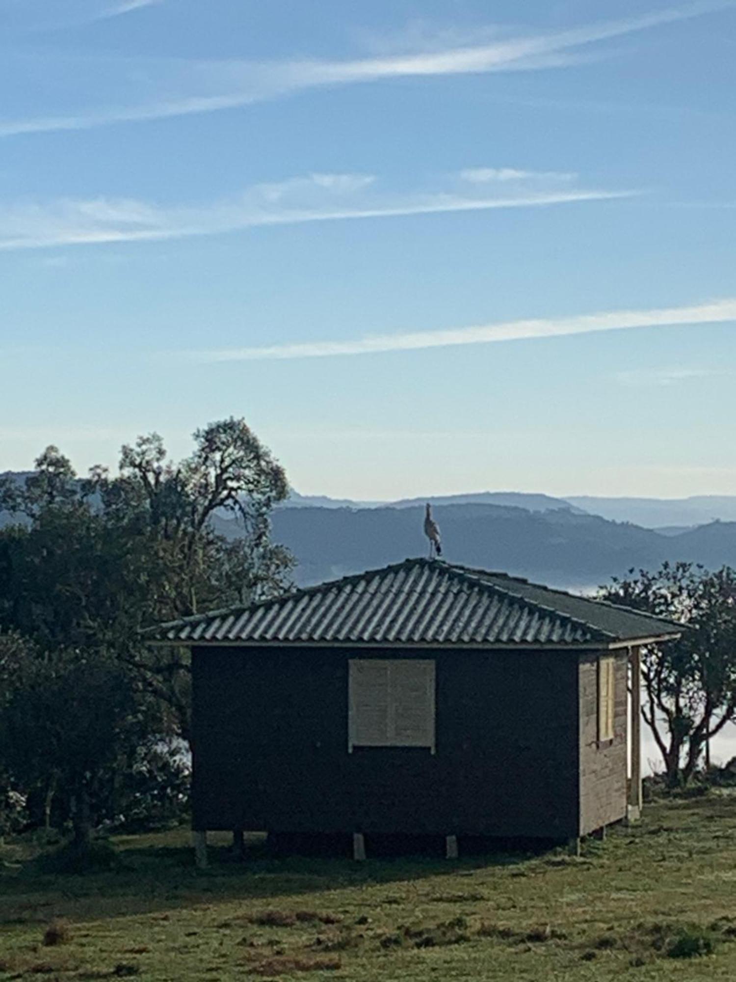 Pousada Fazenda Paim Sao Jose dos Ausentes Exteriér fotografie